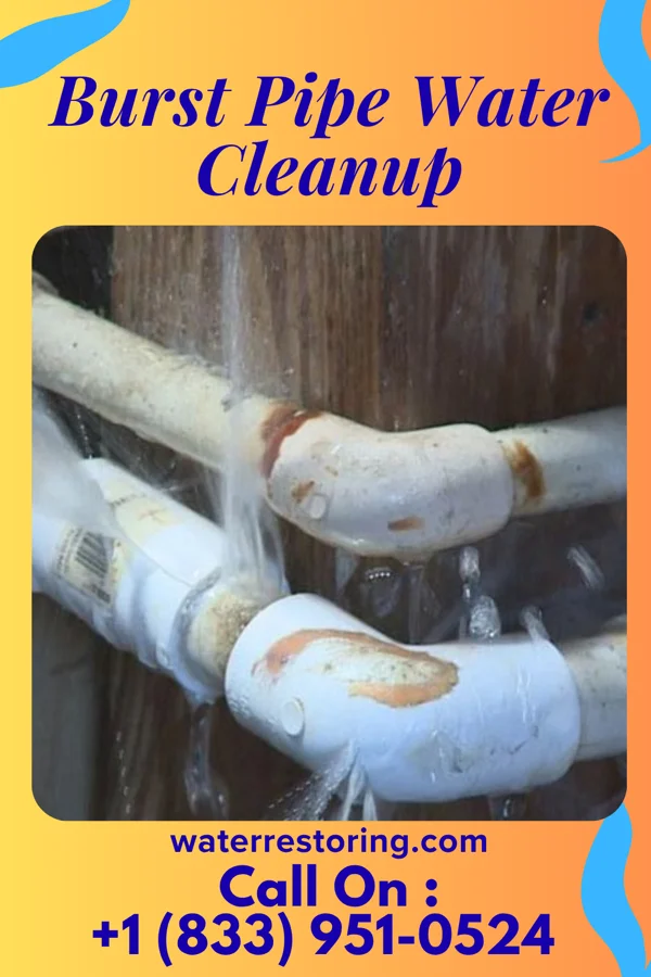Burst Pipe Water Cleanup in Runnemede, NJ