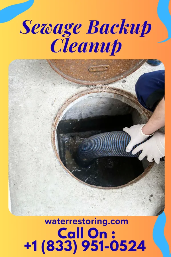 Sewage Backup Cleanup in Runnemede, NJ